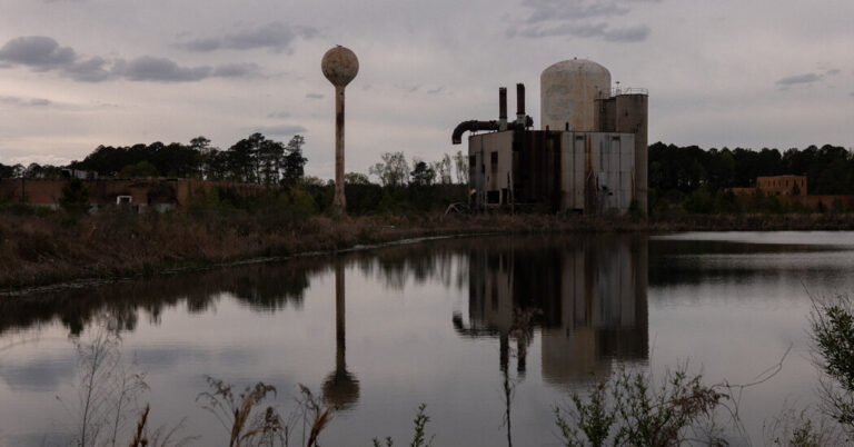 South Carolina Says PFAS-Contaminated Farmland Should Be Superfund Site