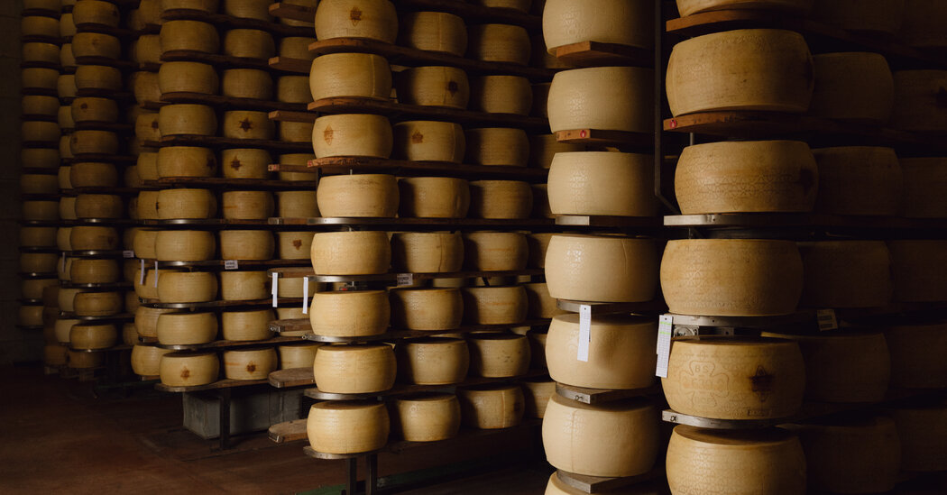 Trump’s Tariff Threats Chill Italy’s Cheese Makers
