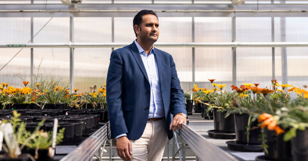 Why Australia Wants to Set Caps on International Students