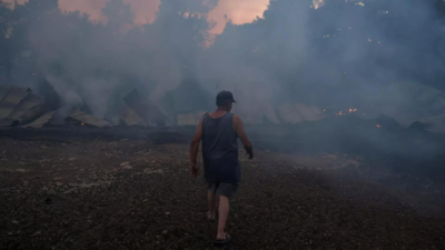 Livestock: Goat breeder says he’s finished after deadly Evros wildfire kills livestock