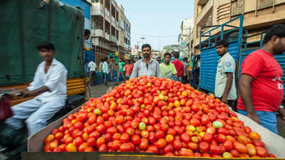 Life-threatening chemicals used in glossy red tomatoes; 3 smart ways to do purity check at home