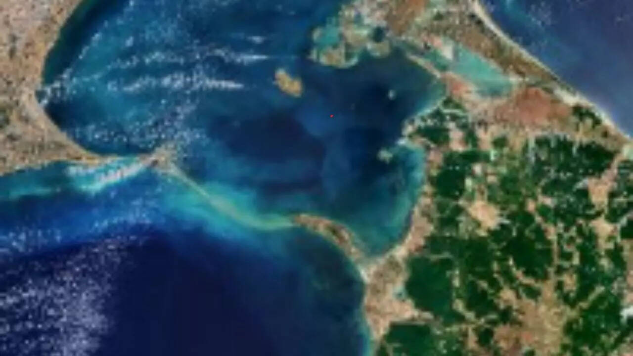Floating stones of Ram Setu: Miracle or myth