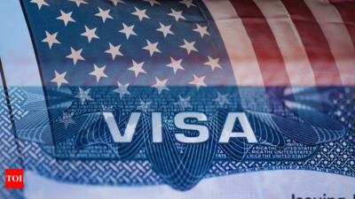 Visas to job risks: US woes hit education loan cos