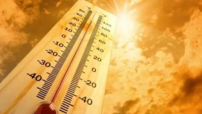 Mercury crosses 40 degrees mark in most places in Punjab, Haryana | India News