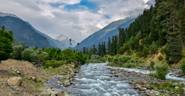 A Perfect Day in a Gentle Meadow Is Shattered by Bloody Carnage