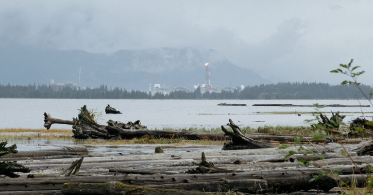 Live Updates: First Polls Close in Canada as Voters Choose Leader for Tumultuous Moment