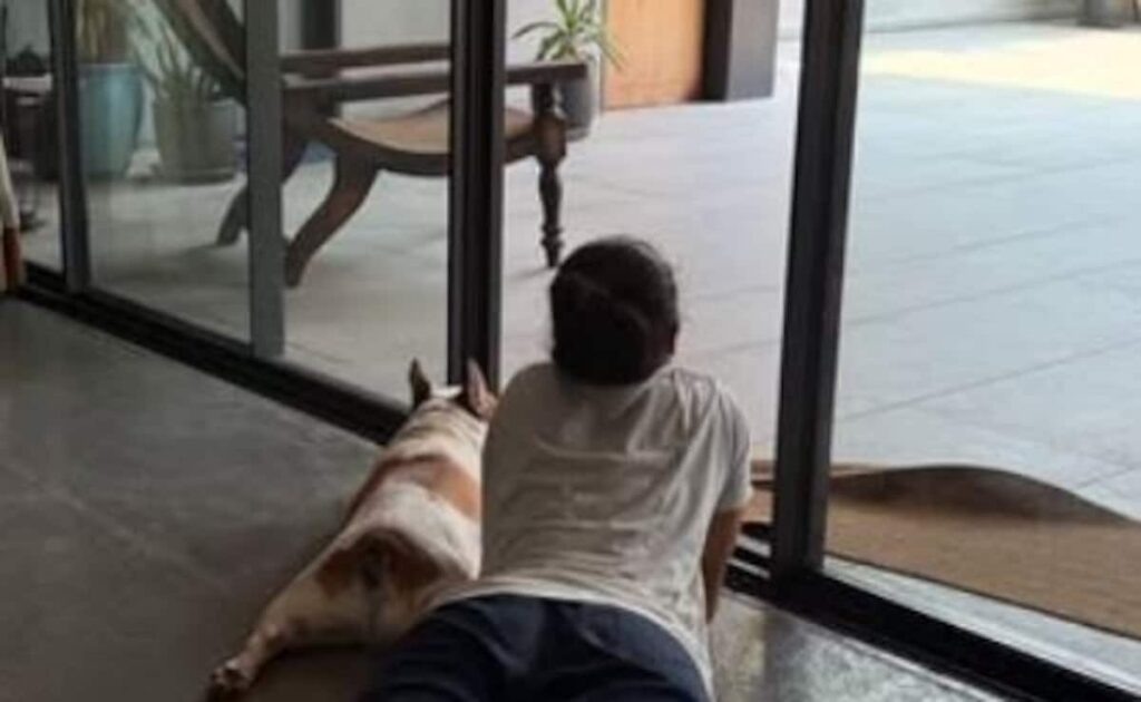 In Naga Chaitanya and Sobhita Dhulipala’s Sunday Post, Samantha’s Pet Dog Steals The Limelight