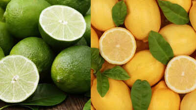 What is the difference between lime and lemon?