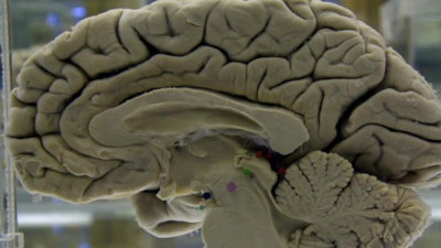 UK Supreme Court to rule on landmark legal challenge over legal definition of a woman