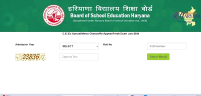 BSEH D.El.Ed result 2025 announced: Direct link to download scorecards here