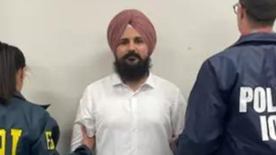 What are charges against Harpreet Singh? Terrorist involved in 14 grenade blasts in Punjab | India News