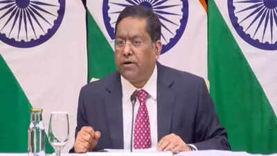 India withdrew transhipment facility for Bangladesh due to Dhaka’s actions: MEA