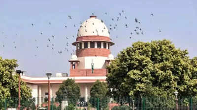 SC dismisses plea to allow class 12th students from 2023 to participate in JEE Advanced 2025