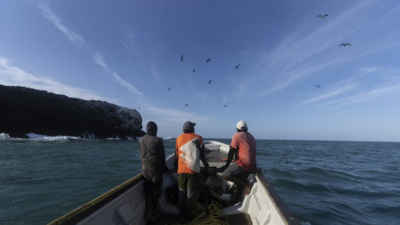 5th Marine Fisheries Census initiated, actual enumeration to be held in Nov-Dec covering 3,500 coastal villages | India News