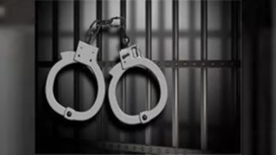 Indian National Charged In Singapore: Indian national to be charged in Singapore for molesting cabin crew member mid-flight