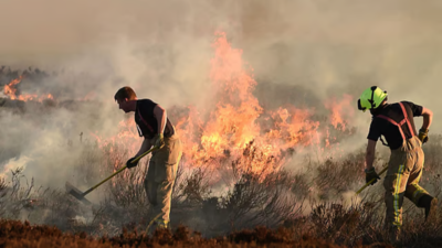 UK wildfires push records in first four months of 2025
