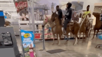 ‘That’s my emotional support animal’: Four men charged after riding horses through Louisiana Walmart