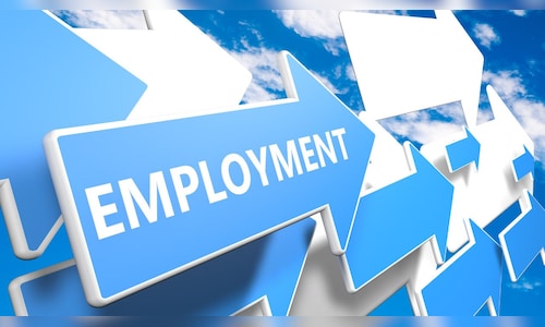 Govt expands PLFS scope: Monthly labour data, rural estimates, and larger sample size introduced