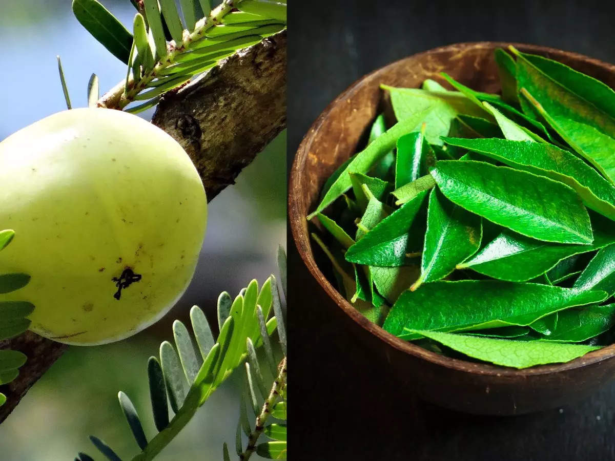 ​This is what happens when you drink amla curry patta tea daily​