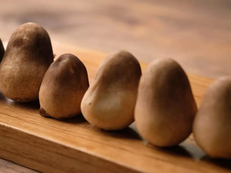Why this commonly available mushroom is called Vegan Egg; All about its nutrition and protein content