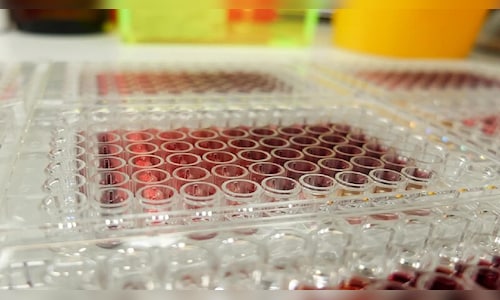 Syngene International confirms expansion of biologics facility with new ADC bioconjugation capability