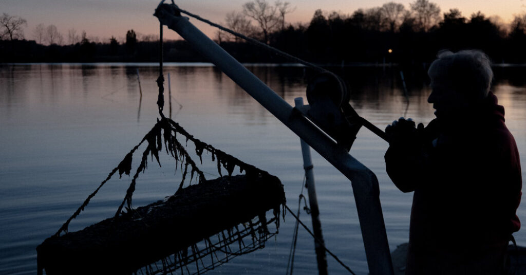 Sewage Sludge Fertilizer From Maryland? Virginians Say No Thanks.