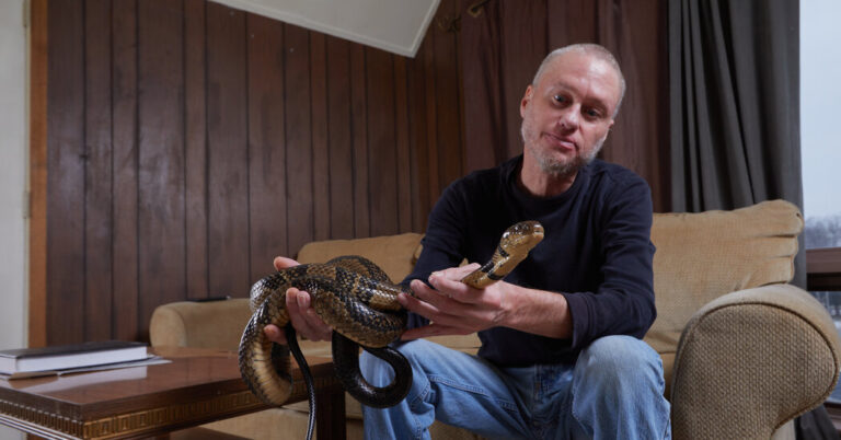 Universal Antivenom May Grow Out of Man Who Let Snakes Bite Him 200 Times