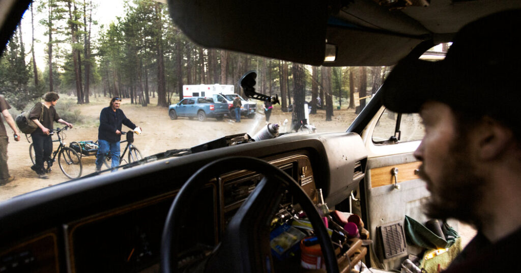 From One Forest to Another: A Homeless Sweep Changes Little