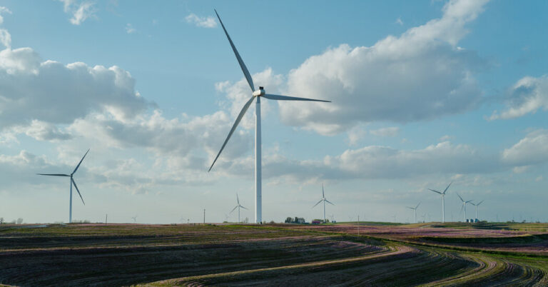 18 States Sue Over Trump’s Halting of Wind Power Projects