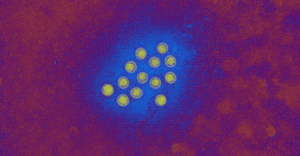 What to Know About the Hepatitis A Outbreak in L.A. County