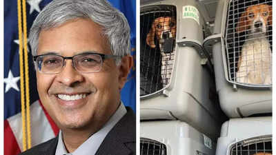 Indian-American Jay Bhattacharya ends brutal medical experiments on beagles, Elon Musk reacts