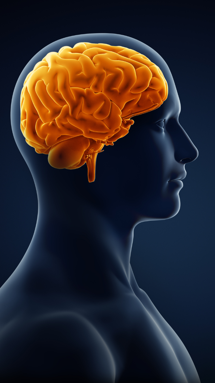 10 foods for brain growth and memory for children