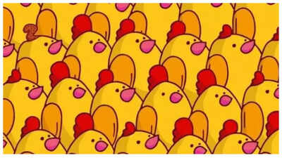 Optical illusion: Can you spot the squirrel’s tail in under 5 seconds?