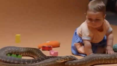 Babies VS Snakes: Why little ones aren’t scared – And what it reveals about fear!