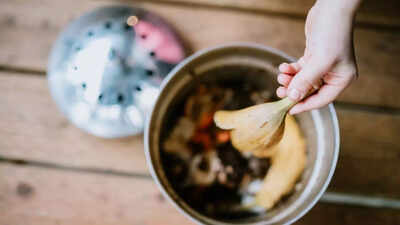 Best fruit and vegetable peels to nourish your plants