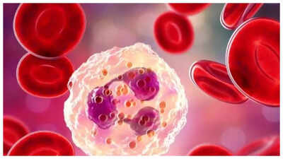 Magnesium: Doctors say THIS mineral reduces inflammation |