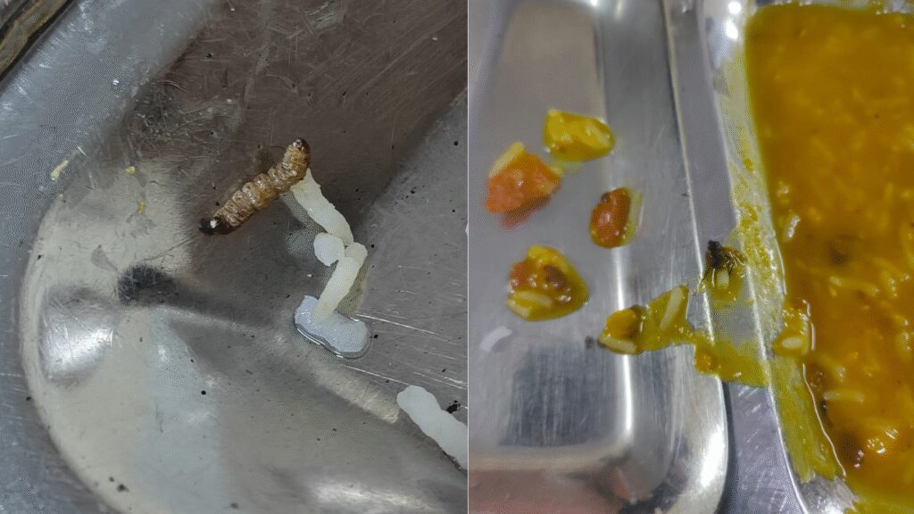 ‘Poor quality’ food in Uttarakhand’s GB Pant Agricultural University hostels spark protest, ET Education