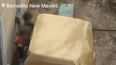 Drone footage shows deputies fire non-lethal weapon to disarm armed children in New Mexico