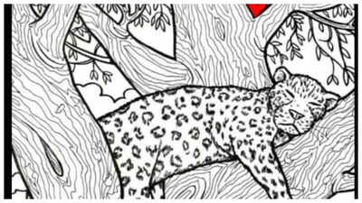 Optical illusion: Can you spot the hidden fish in this leopard pic? You have just 10 seconds!
