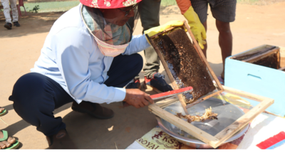 ‘Sweet revolution’: Chhattisgarh’s Koriya ‘Sonahani’ puts region on organic map | Raipur News