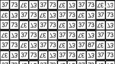 Optical Illusion: Only a mathematical genius can spot the odd number in 5 seconds