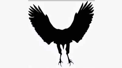 Optical illusion personality test: What do you see first— Rabbit or Eagle? The answer reveals your deepest insecurity