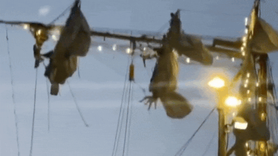 Watch: Chaos as Mexican Navy ship collides with Brooklyn Bridge, sailors seen dangling