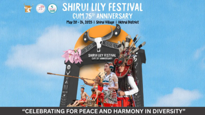 Shirui Lily festival 2025 kicks off in Manipur | India News