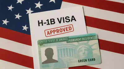 Donald Trump ally seeks H-1B visa curbs after US announces crackdown on illegal immigration-linked Indian travel agents