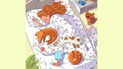 Optical Illusion: Only 2% people can spot the bee in this girl’s bedroom