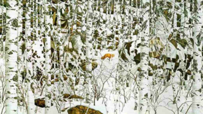 Optical Illusion: You have high visual prowess if you can spot 2 travellers in this snowy landscape |