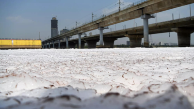 Yamuna dirtier in May, pollution load in major drains increases too | India News