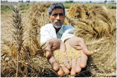 Crop insurance premiums top payout by 45% in Maharashtra over 8 years | India News