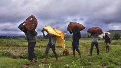 Monsoon arrives early: Kerala receives first showers 8 days ahead of schedule | India News